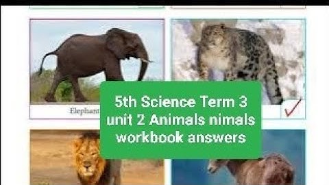 5th Science Term 3 unit 2 Animals workbook answers