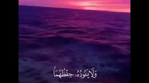 آيه الكرسي | القارئ عبدالرحمن بن مسعد