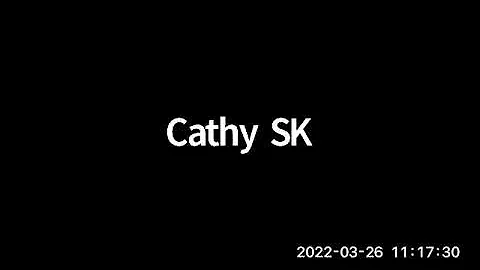Jan Haaken & Cathy Sampson Kruse Discuss the Film ...