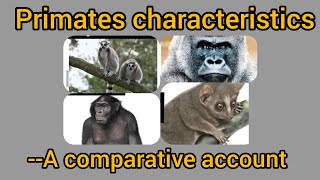 Primates characteristics, Part-1(A comparative account)@AnthropologyInsightsforUPSCNET