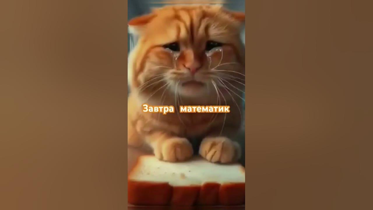 Матиматик - YouTube