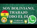 Soy boliviano, trabajo todo el día ★AUDIOS de WHATSAPP★