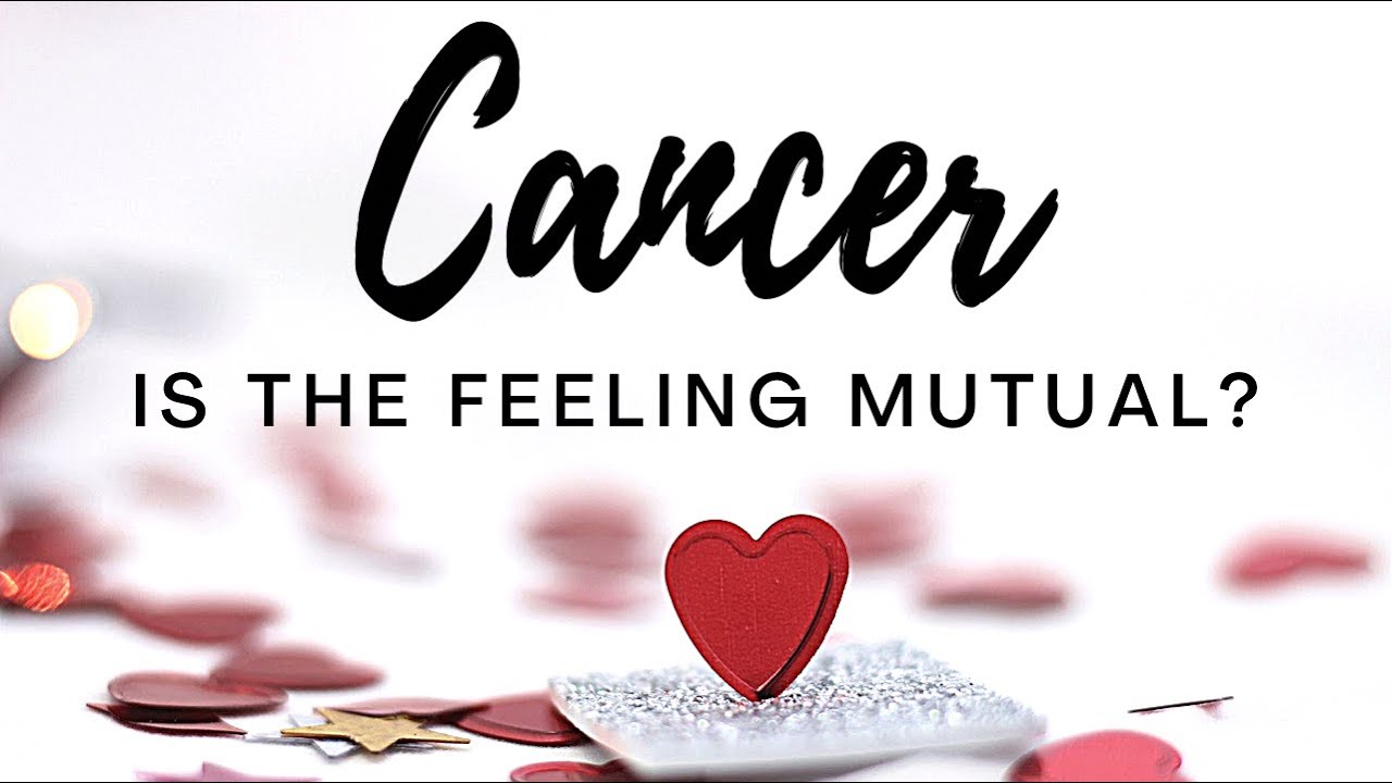 Cancer💕The love & attraction is mutual! Despite time & space..you’re unforgettable to them!✨