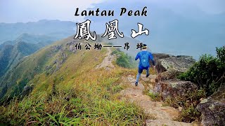 [HK Hiking] 獨行鳳凰山 | Solo Trail Running - Lantau Peak