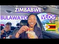 Bulawayo Vlog | Lockdown Security Services | Sunflower Chips - Zimbabwe Vlog