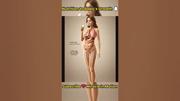 From Mother’s Nutrition to Baby’s Growth🥚Miracle of Life #shorts #miracleinmotion #pregnant #baby