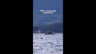 No one tells you how unforgettable whale watching in Juneau really is. 🐋🏔️