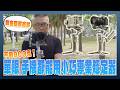 DJI RS 4 mini 開箱實測:體積小巧具備 AI 追蹤的專業相機穩定器