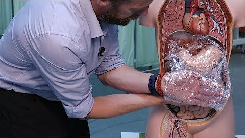 Cosa sono piccolo e grande omento?