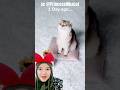 bunga dari miaw‼️PrincessNikacat