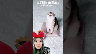 bunga dari miaw‼️PrincessNikacat