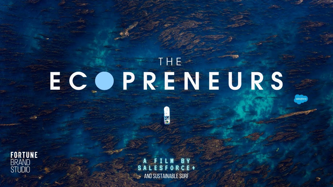 Behind The Scenes With SeaTrees on The Ecopreneurs (episode 1)