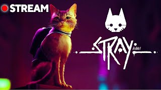 Девушка играет в Самую Милую игру &quot; Stray &quot; Продолжение!