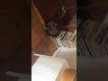 GearBrain tests the Neato Botvac D7 robot vacuum