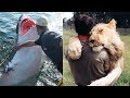 Increíbles Amistades entre Personas Y Animales