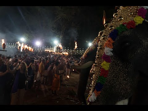 Wideo: Świątynia Kerali i Festiwal Słoni: Niezbędny Przewodnik