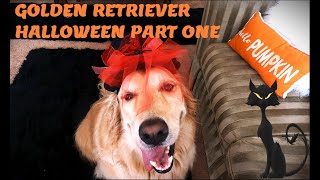 Golden Retriever Halloween cookout! Dress up and Yard prep.