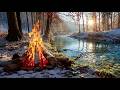 The First Warm Campfire After Winter Early Spring River Ambience