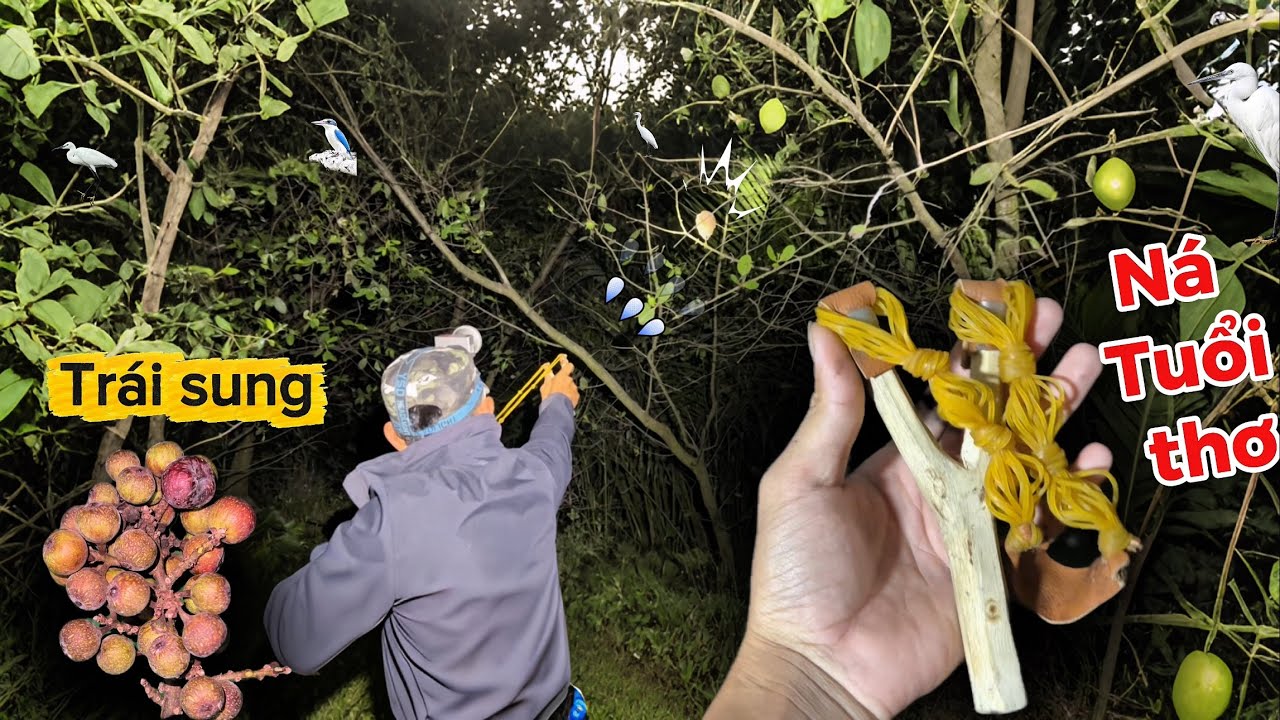 Dùng Ná tuổi thơ kết hợp trái sung, Thử thách Linh ngáo săn cò nhận 500k.