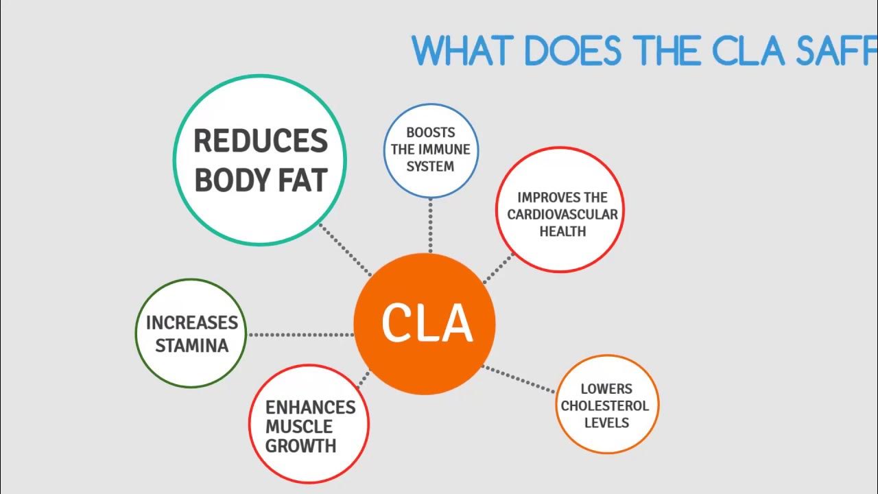 What Does CLA Safflower Oil Do? YouTube