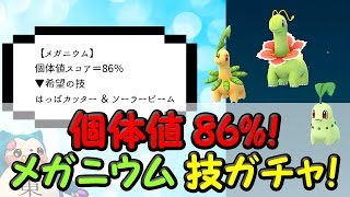 メガニウム厳選技ガチャ個体値86%チコリータ進化 メガニウム厳選技ガチャ個体値86%チコリータ進化