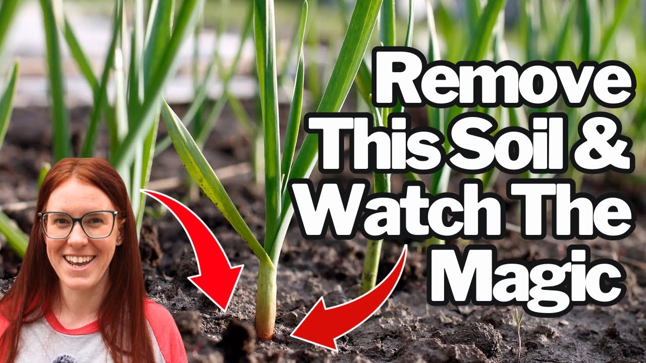 THE 3 Tricks That Make Garlic Bulbs Way Bigger (Proven by Science)