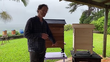 Beginner beekeeping Q&A