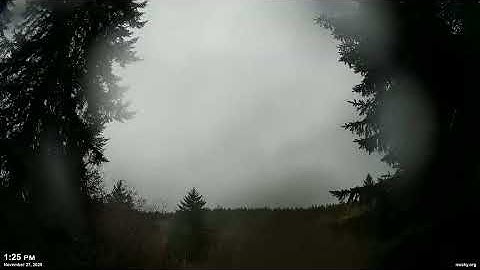 November 27, 2025 - Cloudy Pacific Northwest Skyscape Timelapse Video | 4K 60fps