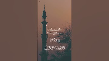 (يَا لَيْتَهَا كَانَتِ الْقَاضِيَةَ )#قرآن #قران_كريم #تلاوة_خاشعة #اكسبلور #ترند #لايك #راحة_نفسية