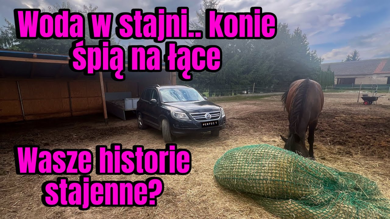 Piasek | Woda w stajni | Stajenne historie