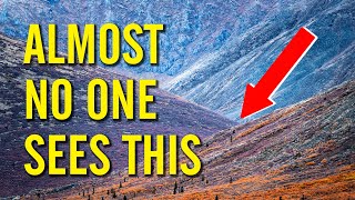 Impossible To Take This All In. The Yukon, Northwest Territories & Alaska Mysteries Unveiled! Net Worth