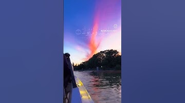 سورة الاخلاص بصوت الشيخ سعد الغامدي #quran #قرآن_كريم