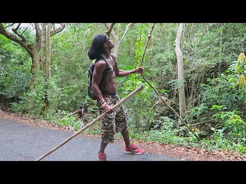 annaly farms st croix usvi