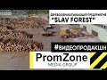 Slav Forest promo #проморолик