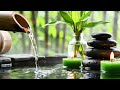 Relaxing Music Relieves Stress, Anxiety and Depression - Bamboo Water Fountain + Healing Piano Music