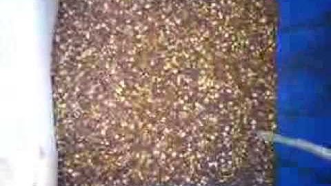 TAIHO CCD Chickpeas Split Color Sorter Machine (second sort)-Email: smarthonesty@yahoo.com