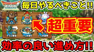 【ドラクエタクト】(要確認)毎日絶対やるべきこと＆効率の良い進め方まとめ!! #4【DQT】