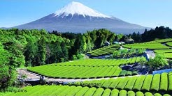 FUJIYAMA - Pop Mandarin Indonesia  - Durasi: 2:53. 