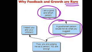 The Feedback Process Wealth
