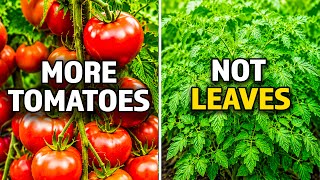 10 Tomato Secrets Pros Don’t Tell Home Gardeners