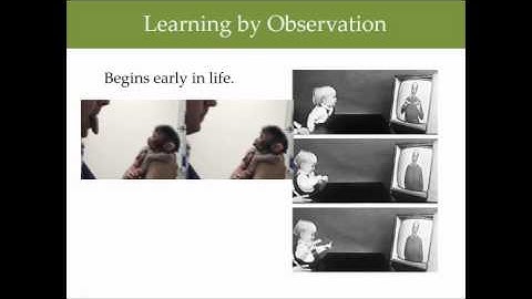 Exploring Psych Ch 7 Observational Learning