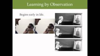 Exploring Psych Ch 7 Observational Learning