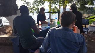 Dogs Steal The Show In