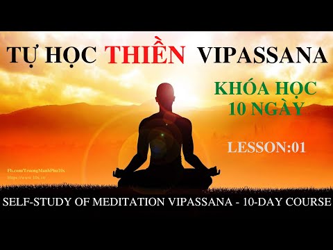 Video: Làm Thế Nào Và ở đâu để Học Vipassana