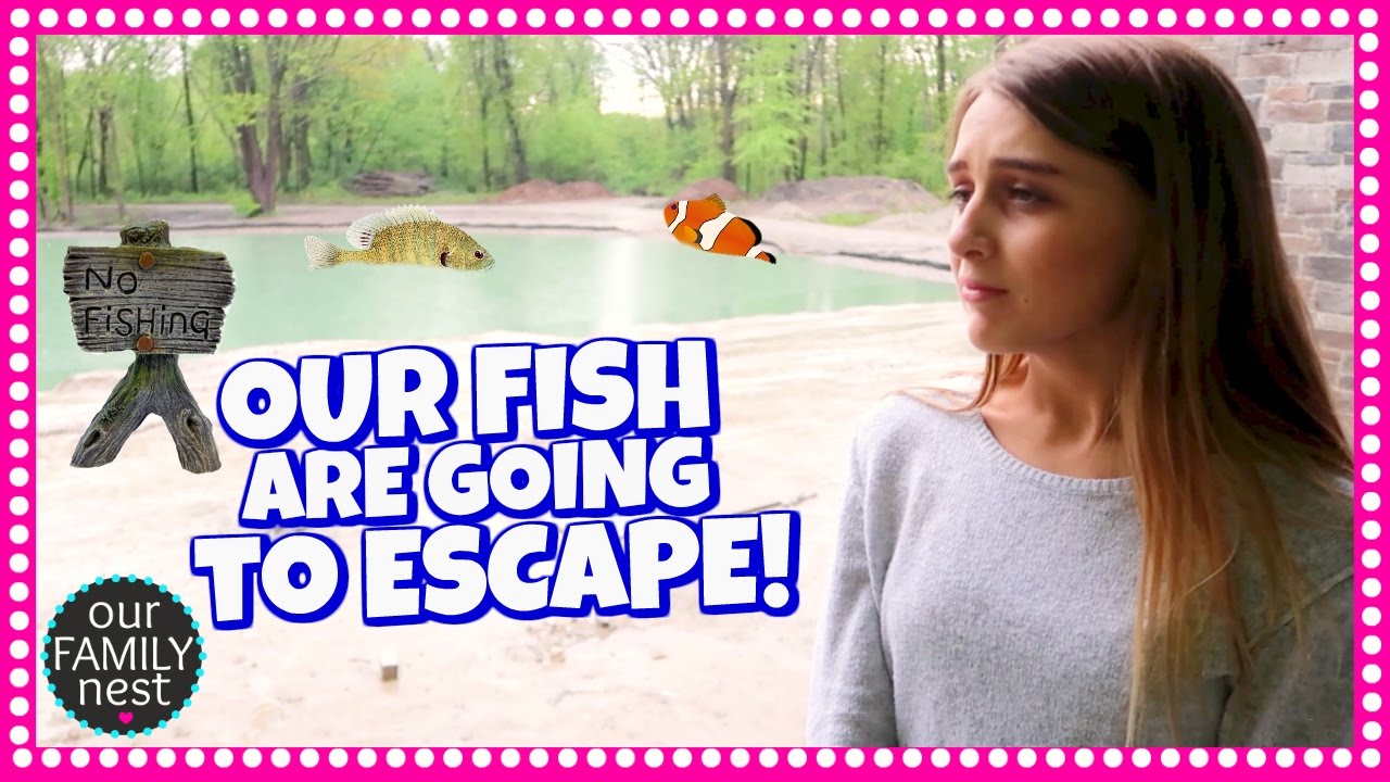OUR FISH ARE GOING TO ESCAPE! MORE EXCITING HOUSE CHANGES!