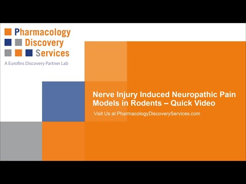Nerve Injury Induced Neuropathic Pain Models in Rodents – Quick Video