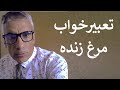 تعبیر خواب مرغ زنده دیدن مرغ زنده در خواب تعبیر مرغ زنده در خواب تعبیرخواب مرغ زنده