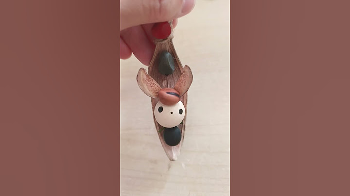 準備給陌生爺爺奶奶的禮物，謝謝你們幫忙我在鄉下收集。一家給一對你們可以送給孫子，其實我不知道有幾家呢 #diy #果實 #handmade #originalcontent