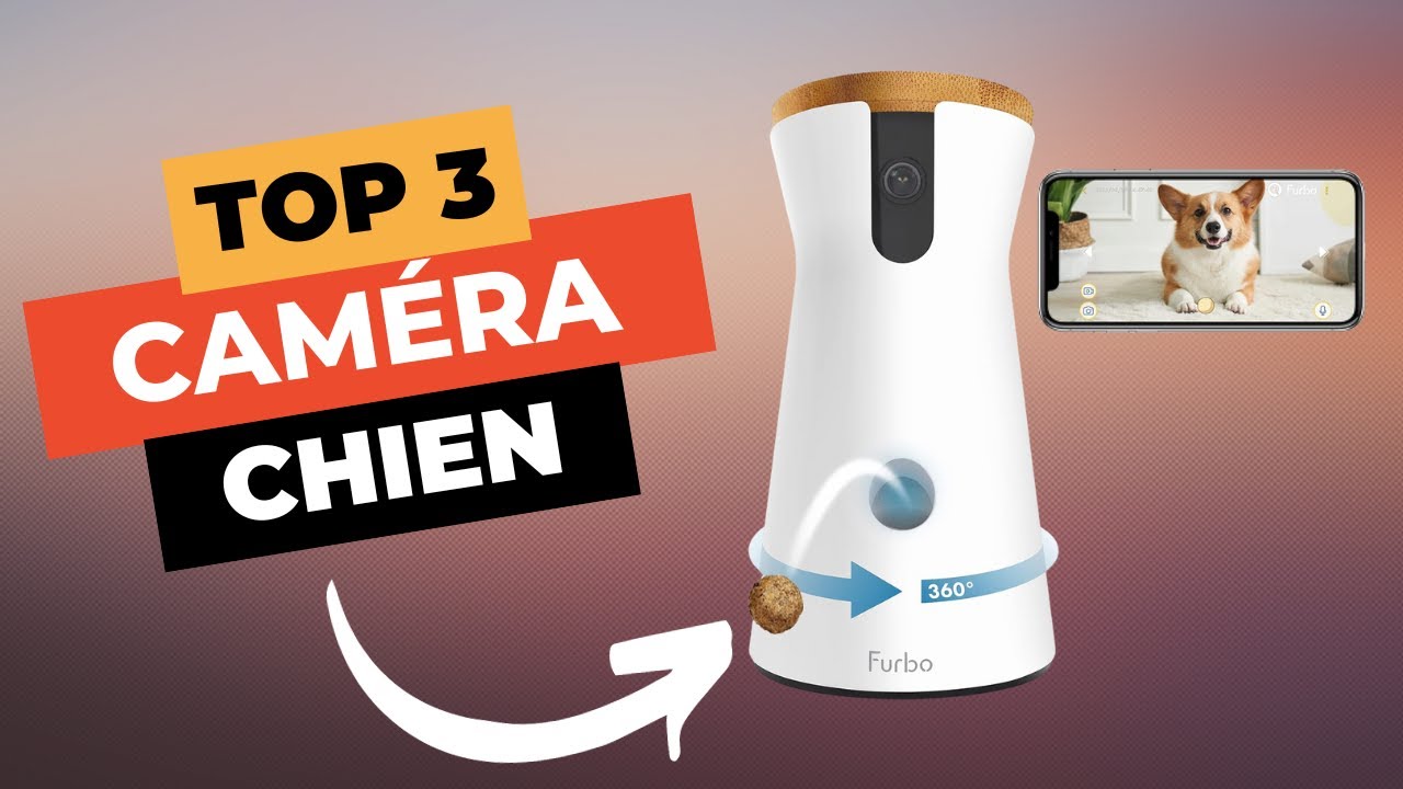 TOP 3 : Meilleure Caméra de Surveillance pour Chien 2024 🔥 