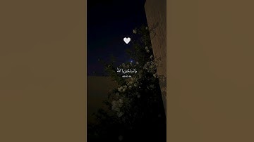 واستغفروا الله إن الله غفورٌ رحيم #القران_الكريم #quran_kareem #تلاوة_خاشعة #راحة_نفسية #حالات_واتس